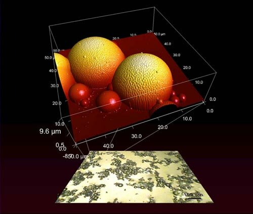 Optical microscope